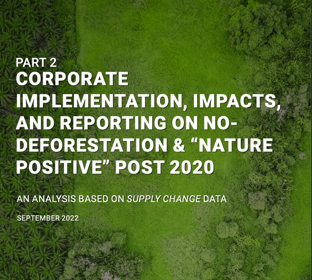 Corporate Impact: Strategies for Reducing Supply Chain Deforestation